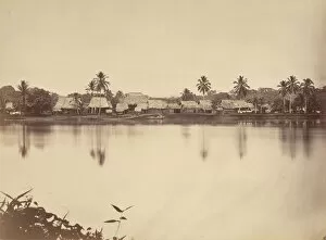 Darien Gallery: Tropical Scenery, Santa Maria del Real, Darien, 1871. Creator: John Moran