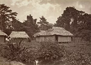 Central America Gallery: Tropical Scenery, Turbo Village, 1871. Creator: John Moran