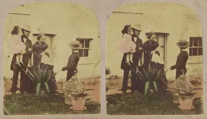 Disappointed Prints: The truant from school found in the Garden