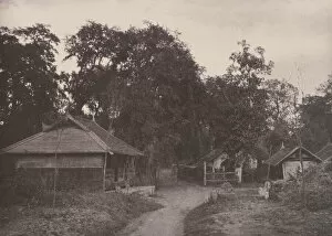 Burmese Collection: Tsagain Myo: A Roadway, August 29-30, 1855. Creator: Captain Linnaeus Tripe