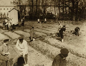 Maria Fyodorovna Gallery: Tsar Nicholas II and family gardening at Alexander Palace during internment at Tsarskoye Selo, 1917