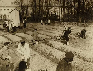 Tsarskoye Selo Prints: Tsar Nicholas II and family gardening at Alexander Palace during internment at Tsarskoye Selo