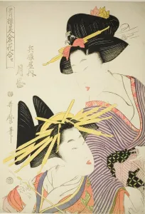 Shimada Prints: Tsukioka of the Hyogoya (Hyogoya uchi tsukioka), from the series Seiro bijin meika