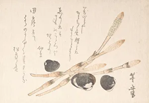 Clam Prints: Tsukushi Plant and Shijimi Shells. Creator: Uematsu Toshu