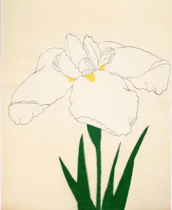 Tsuru-No-Kegoromo, No. 33, 1890, (colour woodblock print) Tsuru-No-Kegoromo, No. 33, 1890, (colour woodblock print)