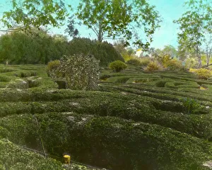 Maze Prints: Tuckahoe, Nehemiah Addison Baker house