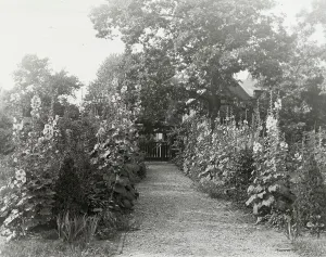 Federal Prints: Tudor Place, Armistead Peter, Jr