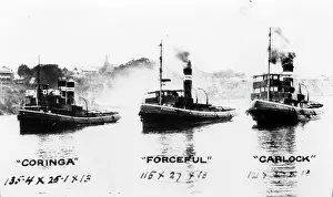 Steamboat Prints: Tugboats: 'Coringa', 'Forceful'