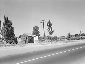 Wayside Gallery: Between Tulare and Fresno, California, 1939. Creator: Dorothea Lange