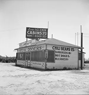 Between Tulare and Fresno on U. S. 99, 1939. Creator: Dorothea Lange