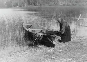 Coast Salish Prints: The tule gatherer, c1910. Creator: Edward Sheriff Curtis