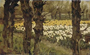 Gnarled Prints: Tulip Fields, 1880-1937. Creator: Antonie Louis Koster