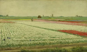 Dijsselhof Gerrit Willem Prints: Tulip Fields, 1890-1922. Creator: Gerrit Willem Dijsselhof