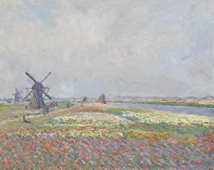 Mill Prints: Tulip fields near The Hague