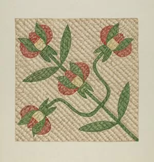 Sample Collection: Tulip Pattern Quilt, 1935 / 1942. Creator: Fred Hassebrock