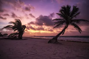 Dusk Gallery: Tulum. Creator: Joshua Johnston