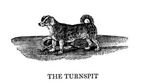 The Tunspit, 1790