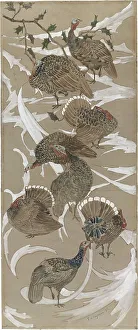 Tail Feather Prints: Eight turkeys, 1892. Creator: Theo van Hoytema