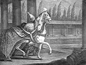 Baroness Wentworth Gallery: Turkish Sultans Arabian horse, 1722 (1938)