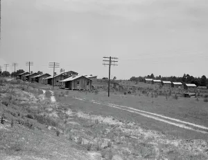 Telegraph Poles Prints: Turpentine camp, Godwinsville, Georgia, 1937. Creator: Dorothea Lange