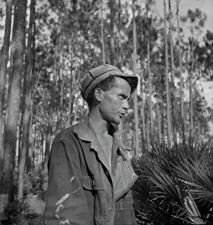 Turpentine Prints: Turpentine chipper near Homerville