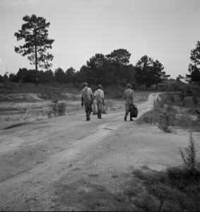 Three turpentine dippers, Georgia, 1937. Creator: Dorothea Lange. Three turpentine dippers, Georgia, 1937. Creator: Dorothea Lange