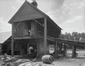 Processing Prints: Turpentine still in the Piney Woods near Valdosta, Georgia, 1937. Creator: Dorothea Lange