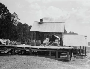 Processing Prints: Turpentine still in the Piney Woods near Valdosta, Georgia, 1937. Creator: Dorothea Lange