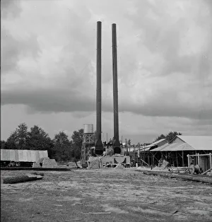 Turpentine plant near Marianna, Florida, 1937. Creator: Dorothea Lange