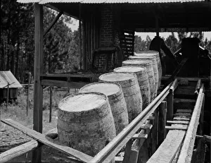 Processing Prints: Turpentine still, Georgia, 1937. Creator: Dorothea Lange