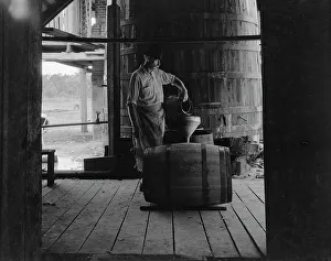 Distillation Prints: Turpentine stiller near Valdosta