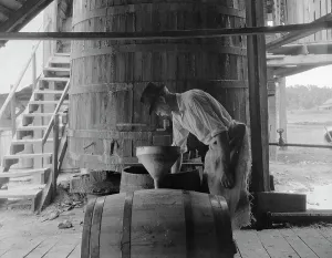 Distillation Prints: Turpentine stiller near Valdosta