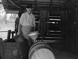 Distillation Prints: Turpentine worker, Georgia, 1937. Creator: Dorothea Lange