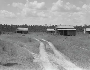 Shacks Prints: Turpentine worker's cabins, Valdosta, Georgia, 1937. Creator: Dorothea Lange
