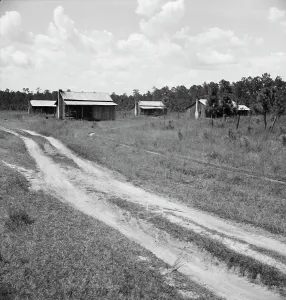 Unpaved Prints: Turpentine worker's cabins, Valdosta, Georgia, 1937. Creator: Dorothea Lange