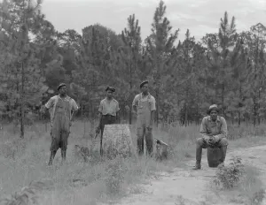 Turpentine workers, Georgia, 1937. Creator: Dorothea Lange