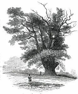 Highway Robbery Prints: Turpin's Oak at Finchley, 1850. Creator: Unknown
