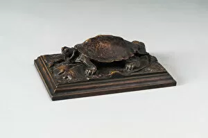 Antoine Louis Barye Collection: Turtle, c. 1820. Creator: Antoine-Louis Barye