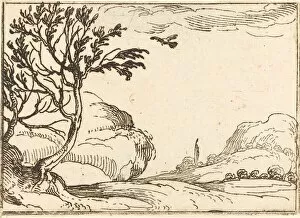 Wilderness Collection: Turtle Dove Flying in the Desert. Creator: Jacques Callot
