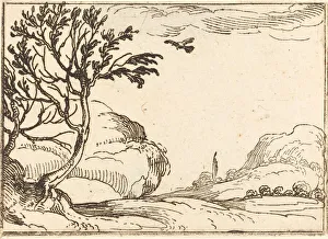 Turtle Dove Prints: Turtle Dove Flying in the Desert. Creator: Jacques Callot
