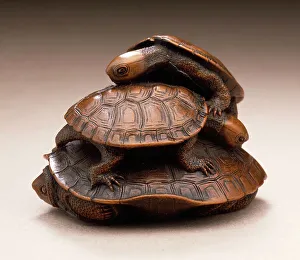 Turtle Prints: Turtle Group, early 19th century. Creator: Kano Tomokazu