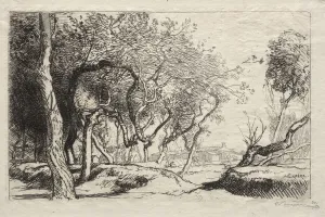 1849 1918 Prints: The Twisted Tree, 1915. Creator: Auguste Louis Lepere (French, 1849-1918)