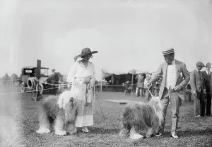 Dog Show Prints: Tyler Morse and wife Allon Mae Fuller Morse, Islip, 1915. Creator: Bain News Service