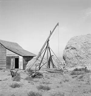 Type of hay derrick characteristic of Oregon... Irrigon, Morrow County, Oregon, 1939. Creator: Dorothea Lange