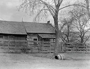 Homestead Prints: Type home, Escalante, Utah, 1936. Creator: Dorothea Lange