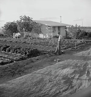 Homestead Prints: Type house at Garden Homes, Arvin (Kern County), California, 1938. Creator: Dorothea Lange
