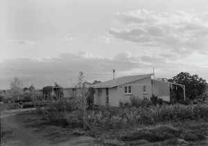 Homestead Prints: Type house at Garden Homes, Kern County