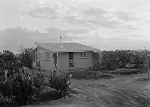 Homestead Prints: Type house at Garden Homes, Kern County