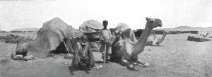 East African Prints: Types de Bicharins; Le Nord-Est Africain, 1914. Creator: Unknown
