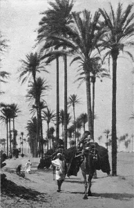 Types d'Arabes de la Tripolitaine; Le Nord-Est Africain, 1914. Creator: Unknown